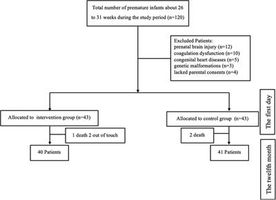 Tailored pharmacist-led intervention to improve adherence to Iron supplementation in premature infants: a randomized controlled trial in China